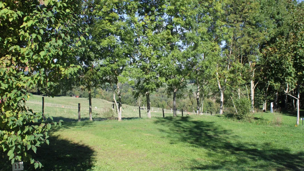 CAMPING LE GRAND CERF