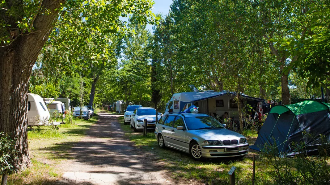 DOMAINE DE LA BERGERIE