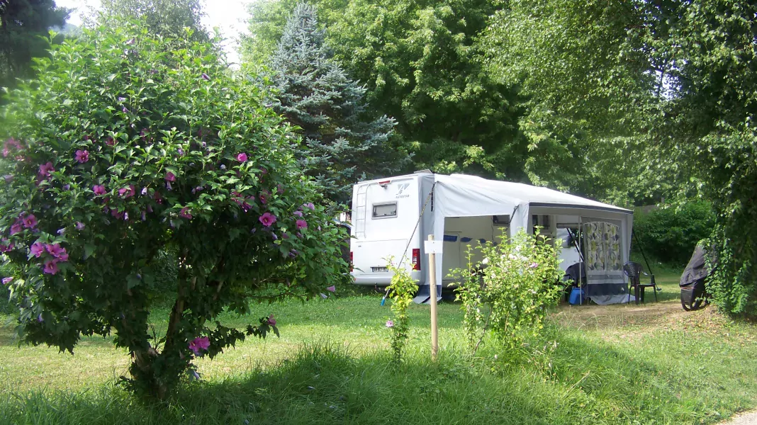 CAMPING CLAIR MATIN