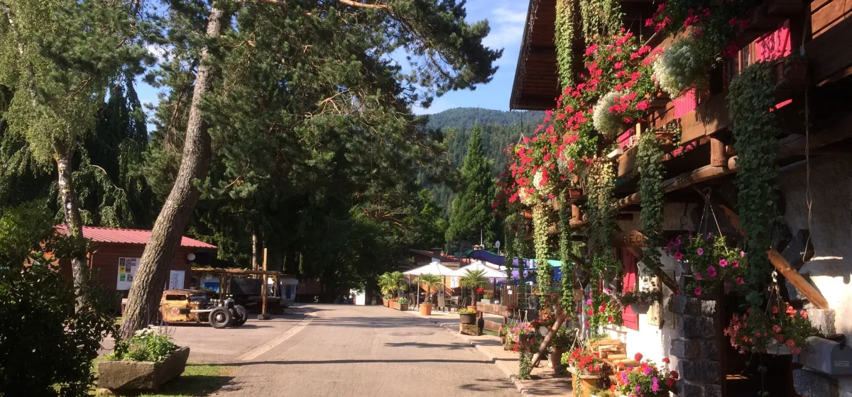 CAMPING LES DEUX BALLONS