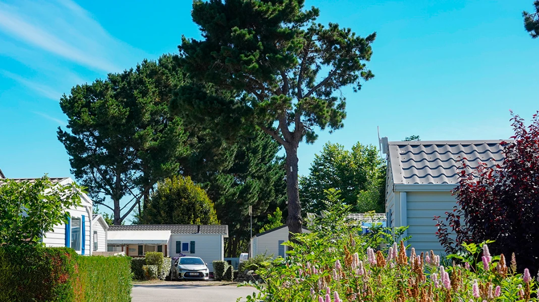 CAMPING LE DOLMEN