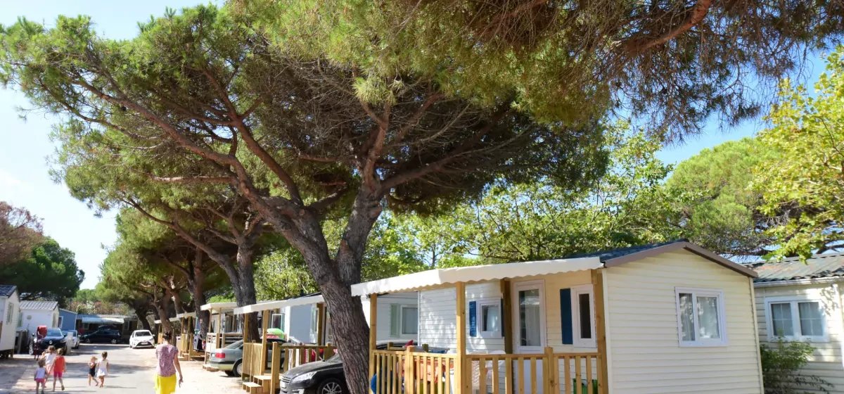 CAMPING LA BERGERIE PLAGE