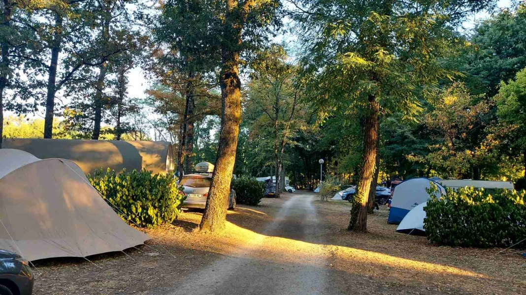 LES CHALETS SUR LA DORDOGNE